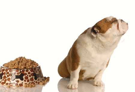 Crocchette Per Cane crocchette per cane
