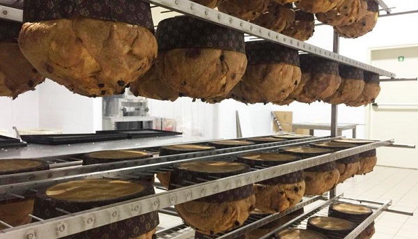 lievitazioen panettoni IORIO 1750 lievitazioen panettoni IORIO 1750