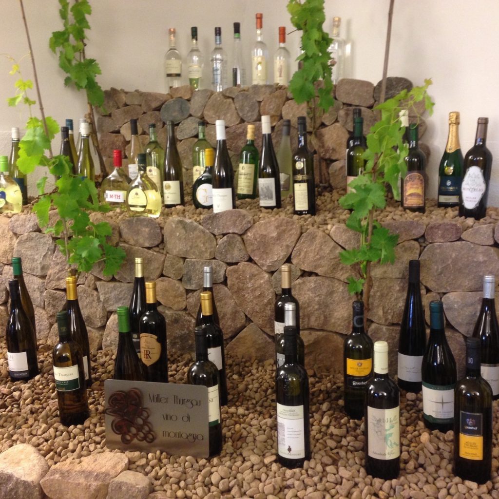 30a-Rass-Muller-Thurgau