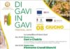DI GAVI IN GAVI 8 GIUGNO 2019