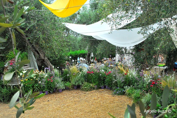Festival delle erbe aromatiche DSC 0407low