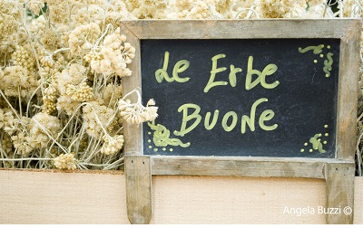 Andora Festival piante erbe aromatiche 2019 DSC 0668