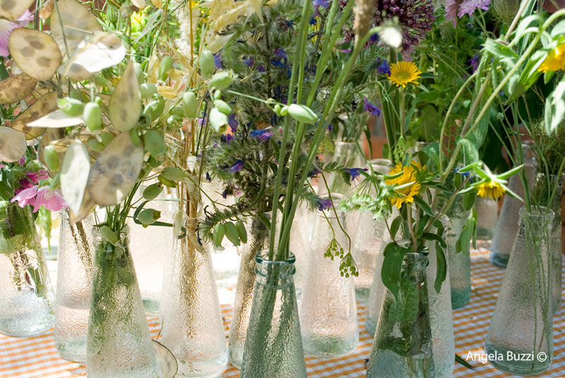 Andora Festival piante erbe aromatiche 2019 DSC 1011-f