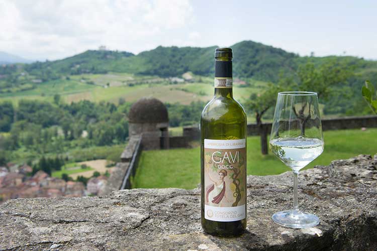 Di-Gavi-in-Gavi-2019-