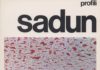 L’AQUILA. MOSTRA DI PIERO SADUN SADUN