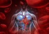 terapia innovativa contro le malattie cardiovascolari