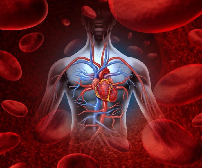terapia innovativa contro le malattie cardiovascolari