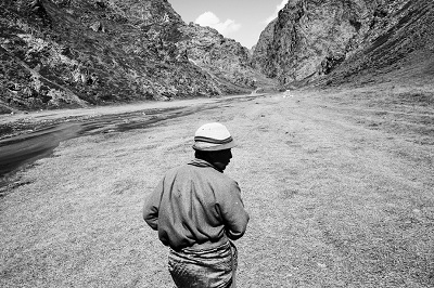 Sara Munari Vanishing Shepards 2018 r