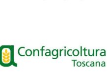 LE PREVISIONI DI CONFAGRICOLTURA TOSCANA. VENDEMMIA 2019 CRESCITA DEL 5% CONFAGRICOLTURA TOSCANA