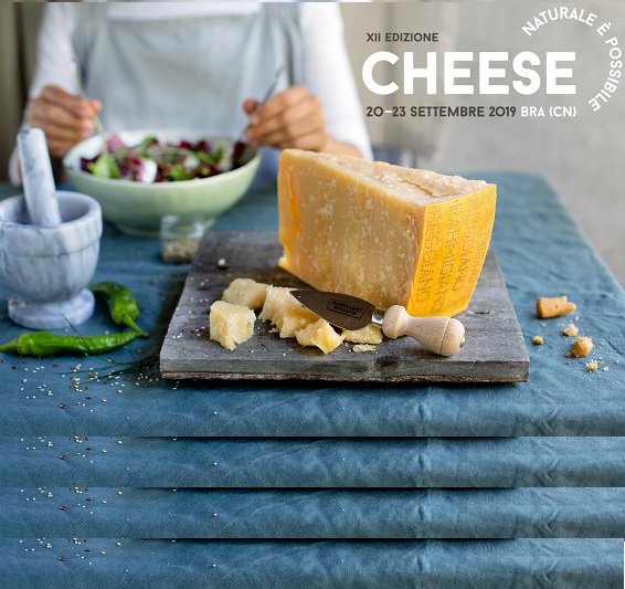 Cheese Parmigiano Reggiano Cheese Parmigiano Reggiano