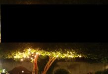 ALESSANDRIA – GAVI. OPENING PARTY AL RISTORANTE CANTINE DEL GAVI DIVANO ALBERO GIARDINO SEGRETO NOTTURNA