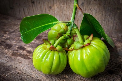 Garcinia