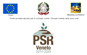 MAIN PARTNER OLIO DEL GARDA