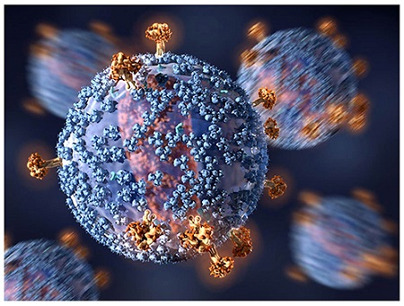 Nih Hiv Virus And Antibody NIH HIV Virus And Antibody