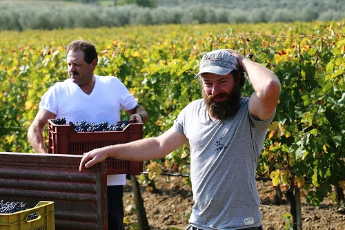 POGGIO AI LUPI vignaioli POGGIO AI LUPI vignaioli