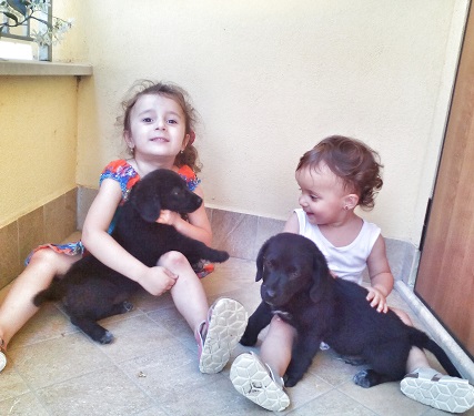 PET TERAPY BABY