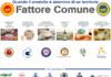 FATTORE COMUNE RECCO