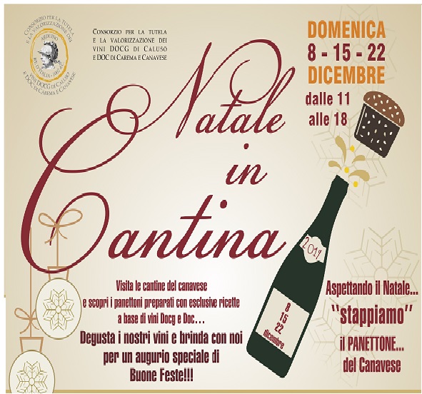 LOCANDINA . Iniziativa - Natale in Cantina