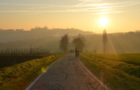 MONFERRATO