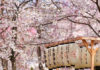 IL RITO DELLHANAMI - Giappone
