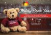 Teddy Bear Toss