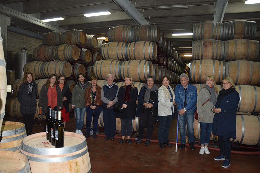 Conti Zzecca -gruppo Cantina