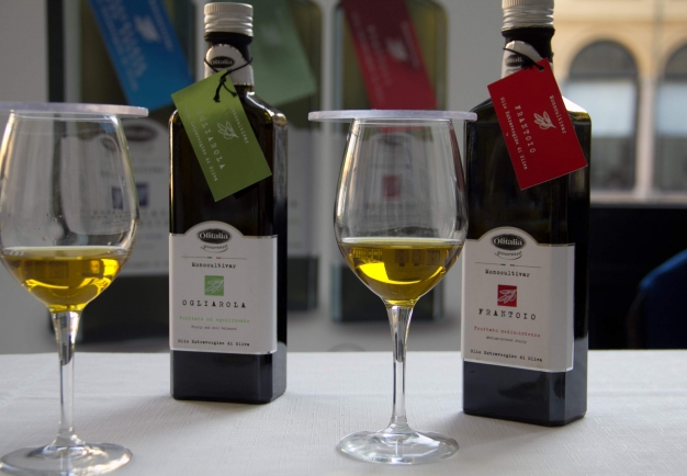 DEGUSTAZIONE OLIO