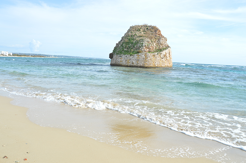 Salve Torre pali