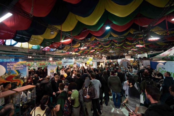 VI Fiera Internazionale della Canapa