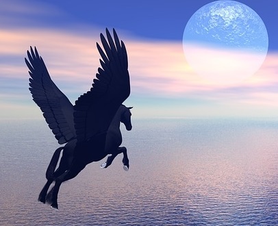 XII Concorso Il volo di Pegaso