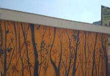 cosimipiaceGaribaldi