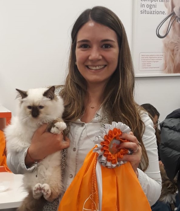 gatto carattere migliore - elisir