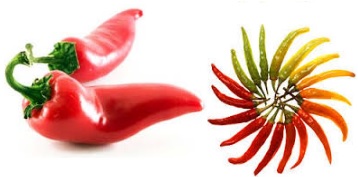 peperoncino
