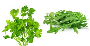 prezzemolo e rucola