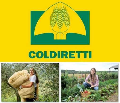 Coldiretti - Spesa sospesa del contadino a domicilio