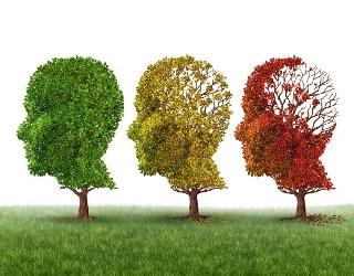 Deterioramento Cognitivo Disponibili Le Nuove Raccomandazioni Delluspstf R Deterioramento cognitivo disponibili le nuove raccomandazioni dellUspstf r