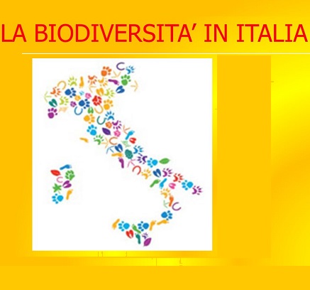 La Biodiversita In Italia LA BIODIVERSITA IN ITALIA