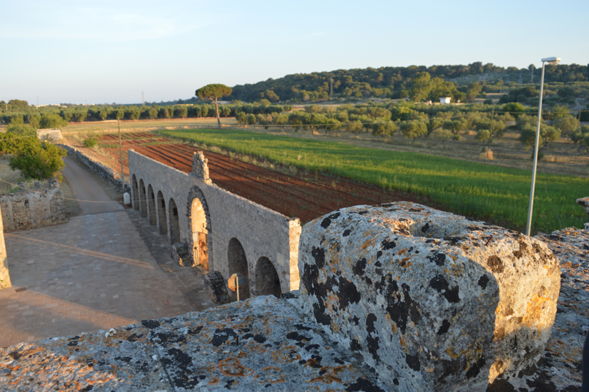Morciano Leuca piccola