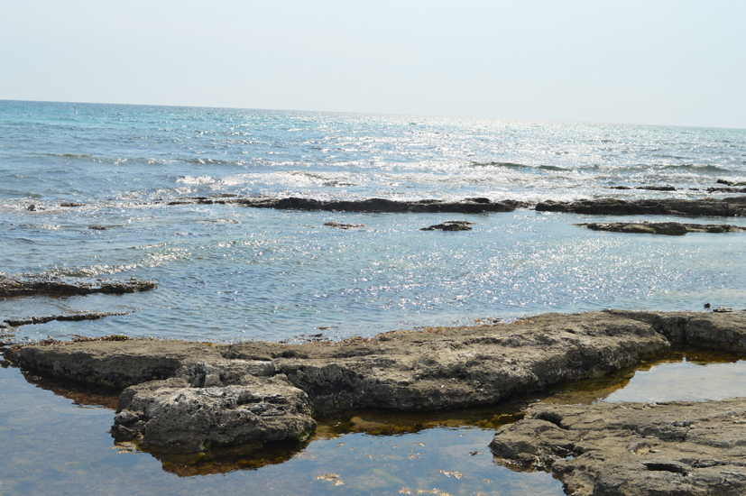 Morciano Torre Vado le sorgenti