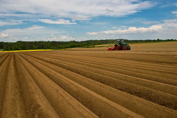 firmato lAccordo quadro per il mais da granella di filiera italiana certificata