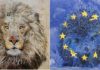 CELEBRATING DIVERSITY || Bruxelles Istituto Italiano di Cultura | 11 marzo – 5 aprile 2020 leone nato