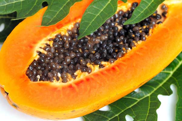 papaya r