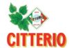 RICETTERIO. UN RICETTA SFIZIOSA CITTERIO