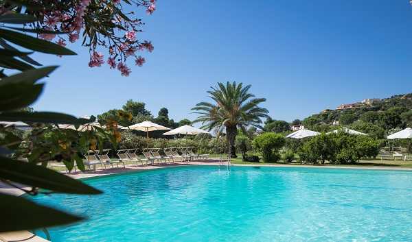 Is Molas Hotel pool and palm