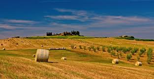 Piano Strategico Agroalimentare Di Roma Capitale Piano Strategico Agroalimentare di Roma Capitale