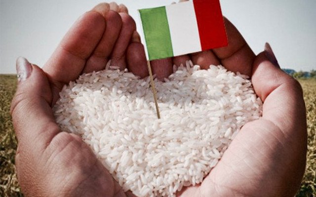 Salviamo Riso Italiano salviamo-riso-italiano