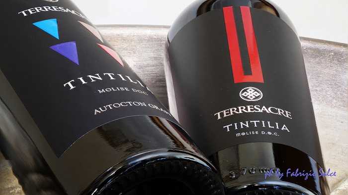 tintilia articolo tintiliaarticolo
