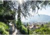 Bolzano - natura