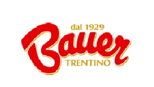 BAUER BAUER