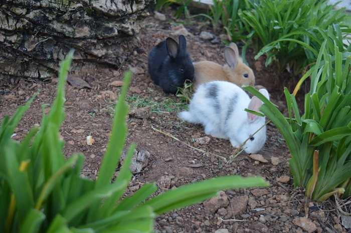 CDSHOTELpietrabluRESORTspa 